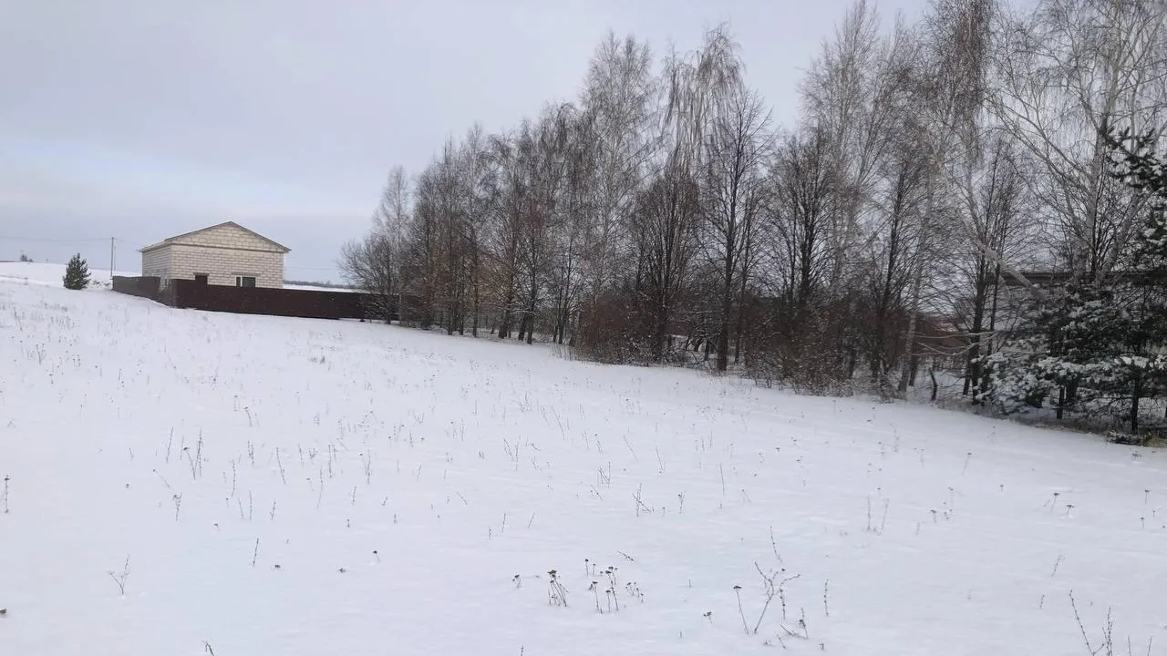 Свыше 1,5 млн рублей принесли торги по продаже участков в бюджет округа Зарайск