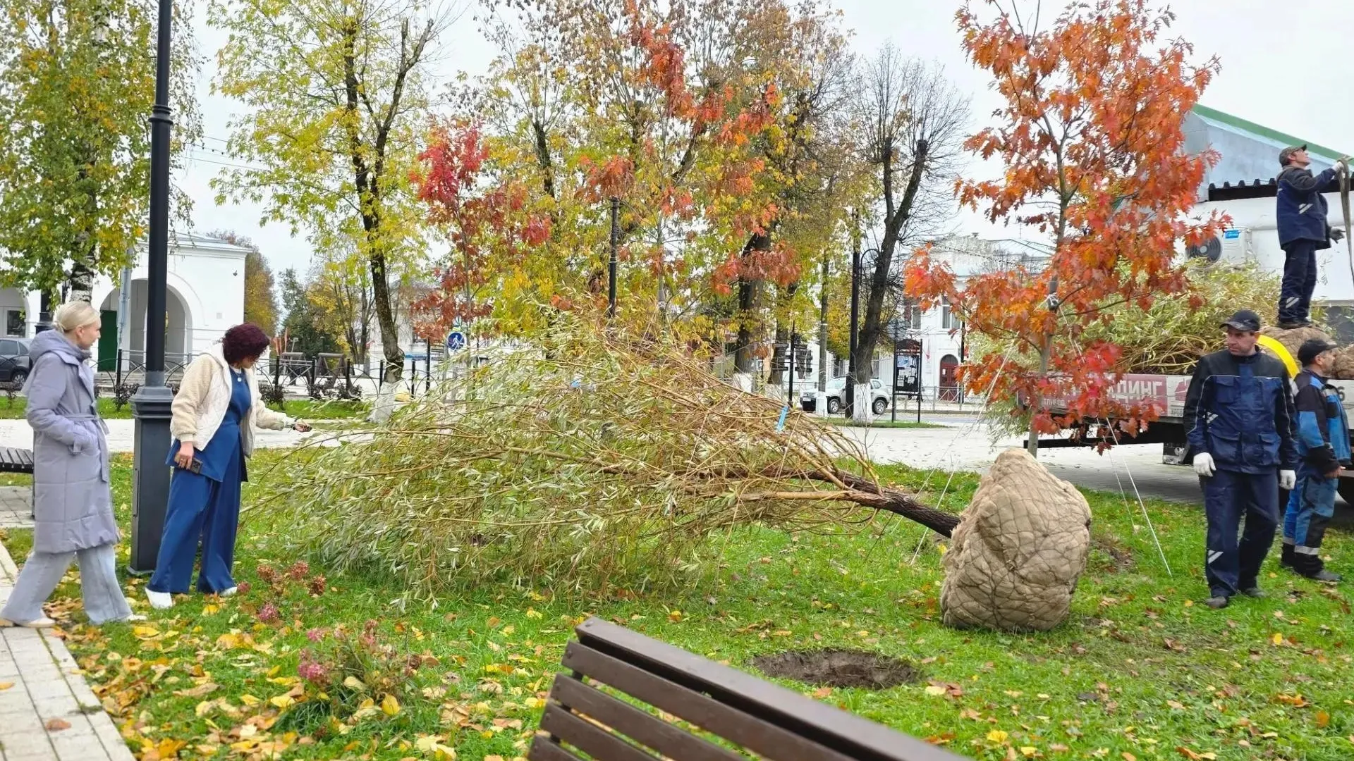 В Верее высадили плакучие ивы в Сквере Памяти