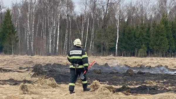 Жителям Балашихи напомнили об опасности выжигания сухой травы