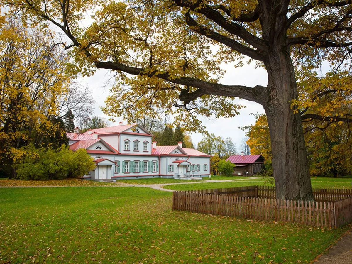 treeoftheyear.org