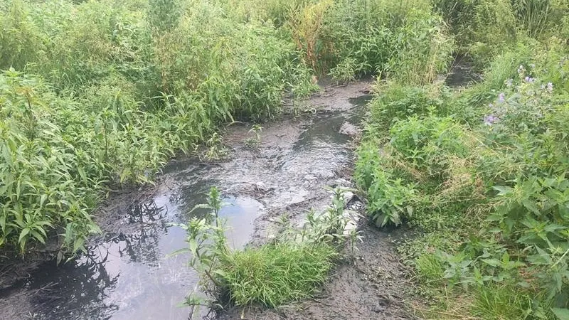 Жалобы на незаконные водосбросы в Подмосковье сократились на 62%