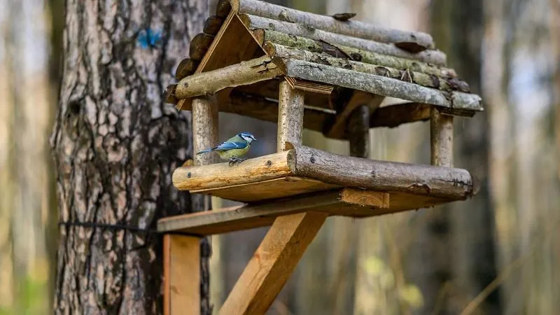 Жители Подмосковья могут поучаствовать в интернет-конкурсе