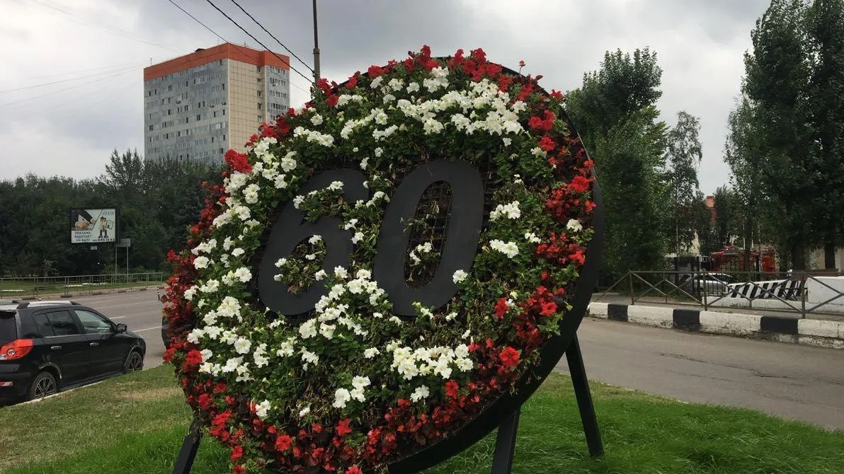 В Подмосковье появились дорожные знаки из цветов