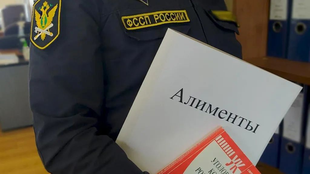 Свыше 560 тыс рублей задолженности по алиментам взыскали с жительницы Подмосковья