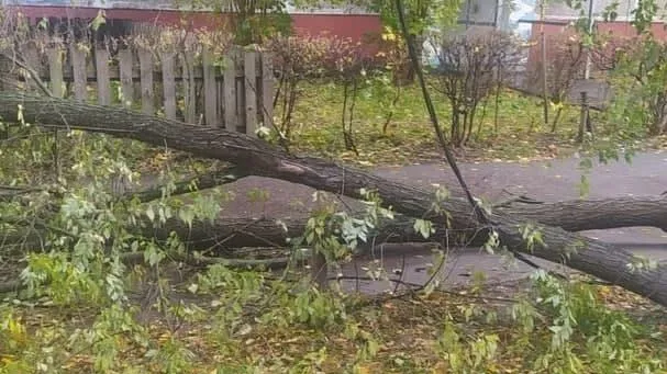 Последствия сильного ветра ликвидировали во дворе Подольска