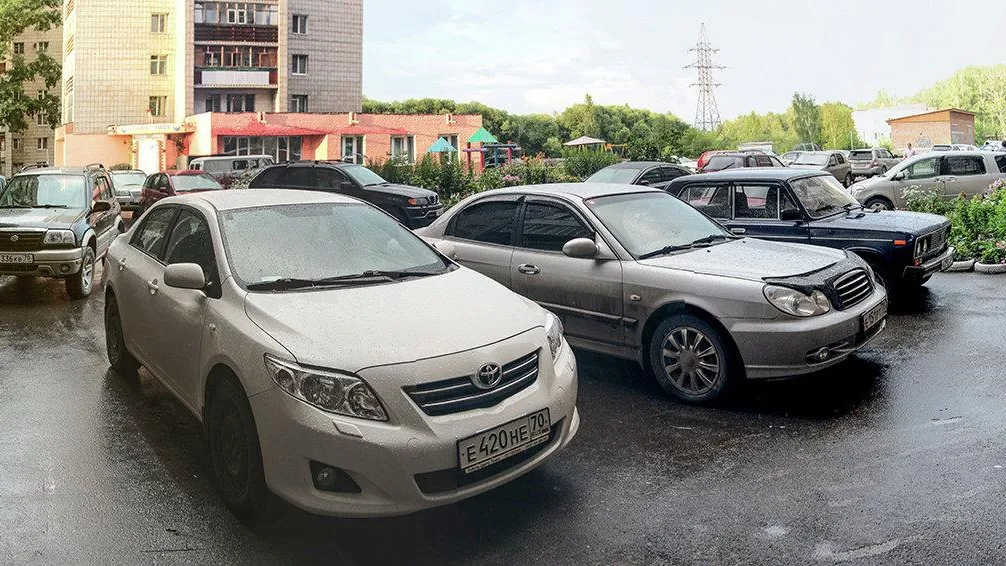 Водителей в Подмосковье предупредили об опасности парковки у деревьев во время урагана