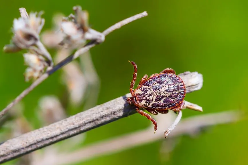 Евгений Мухортов / Фотобанк Лори