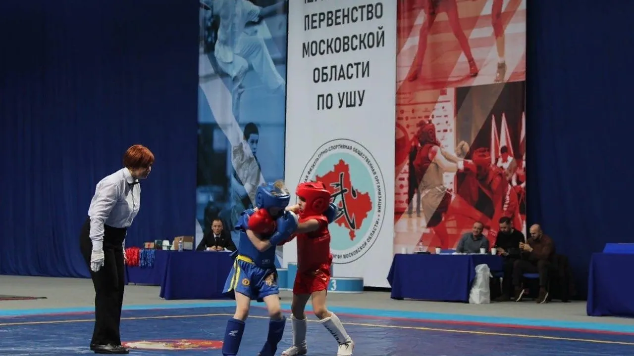 В Люберцах прошли чемпионат и первенство региона по ушу