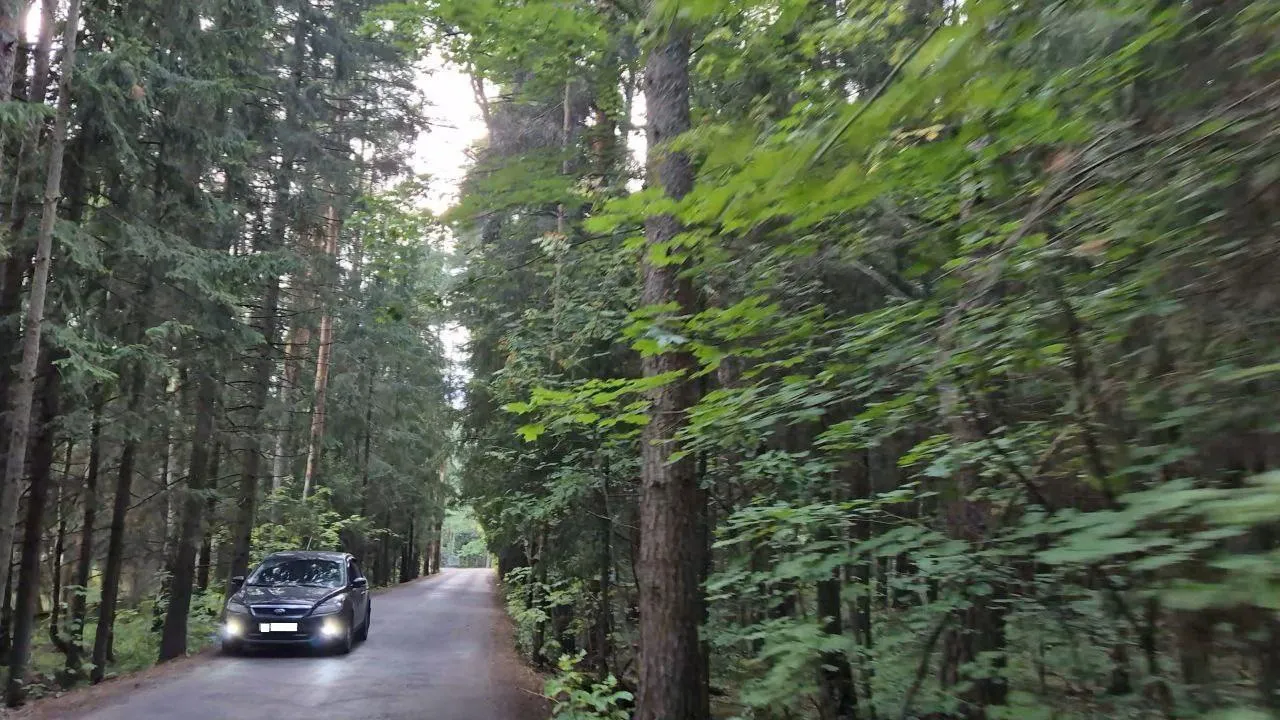 Жители Калитина Богородского округа поблагодарили властей за новую дорогу к деревне