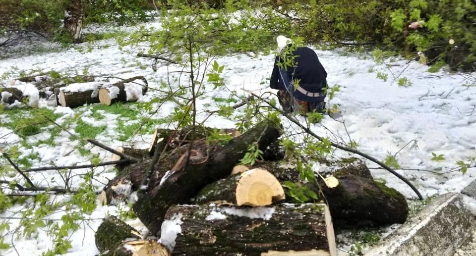 Глава Солнечногорска: 74% обрывов проводов в округе были ликвидированы