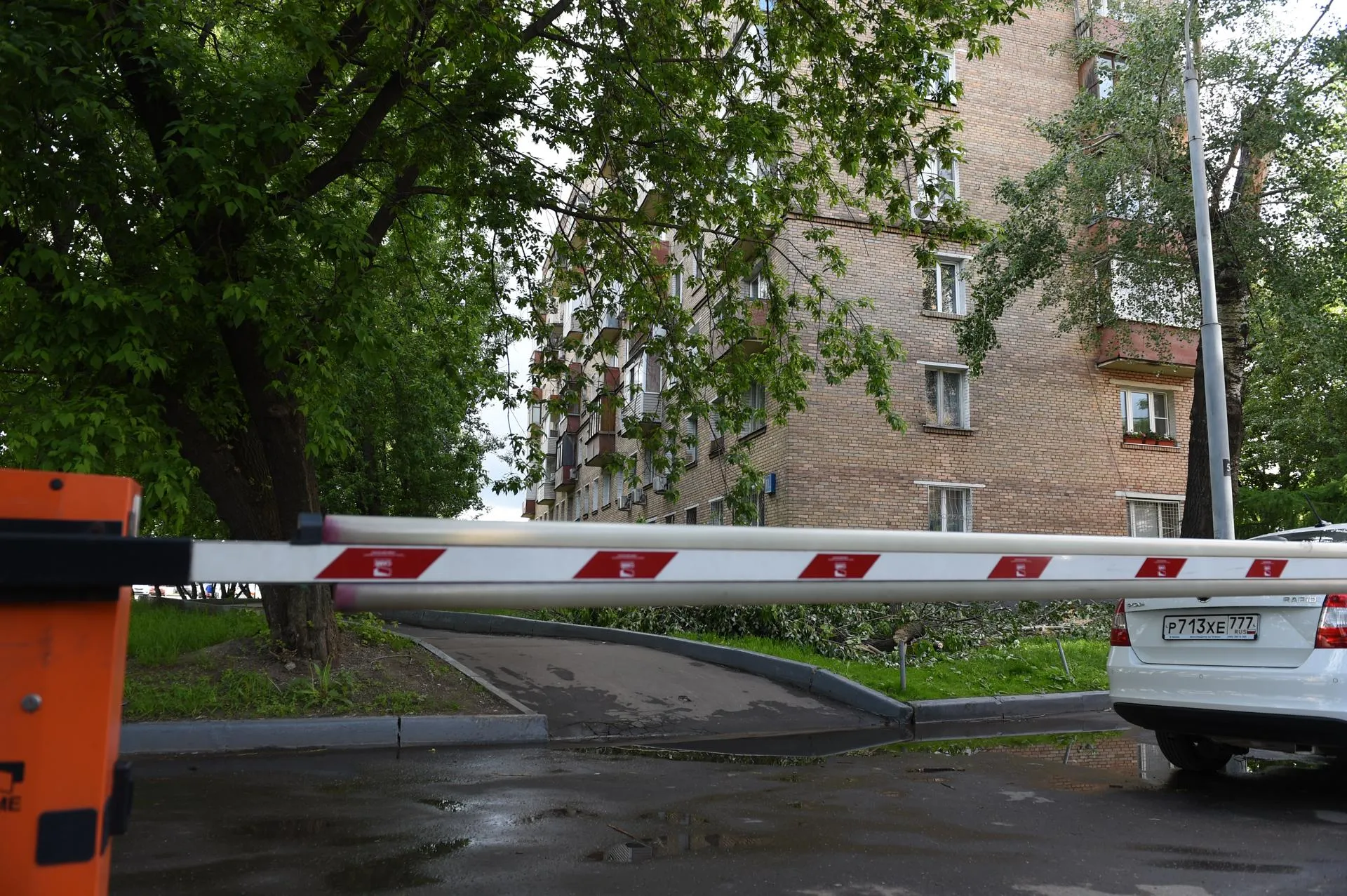 Анастасия Осипова