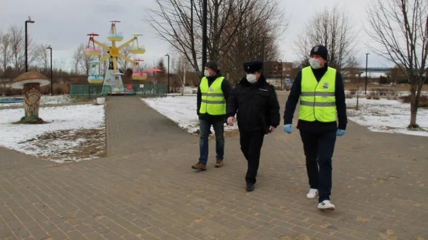 Свыше 120 добровольных дружин создано на территории Подмосковья