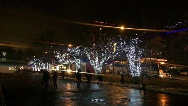 Власти Подольска призвали горожан ответственно относиться к украшениям мест отдыха