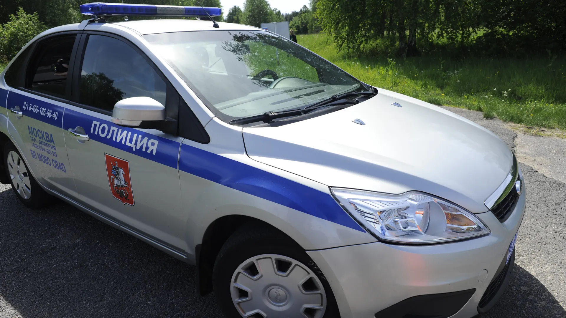 В Подмосковье нашли тела двух пропавших пожилых грибников