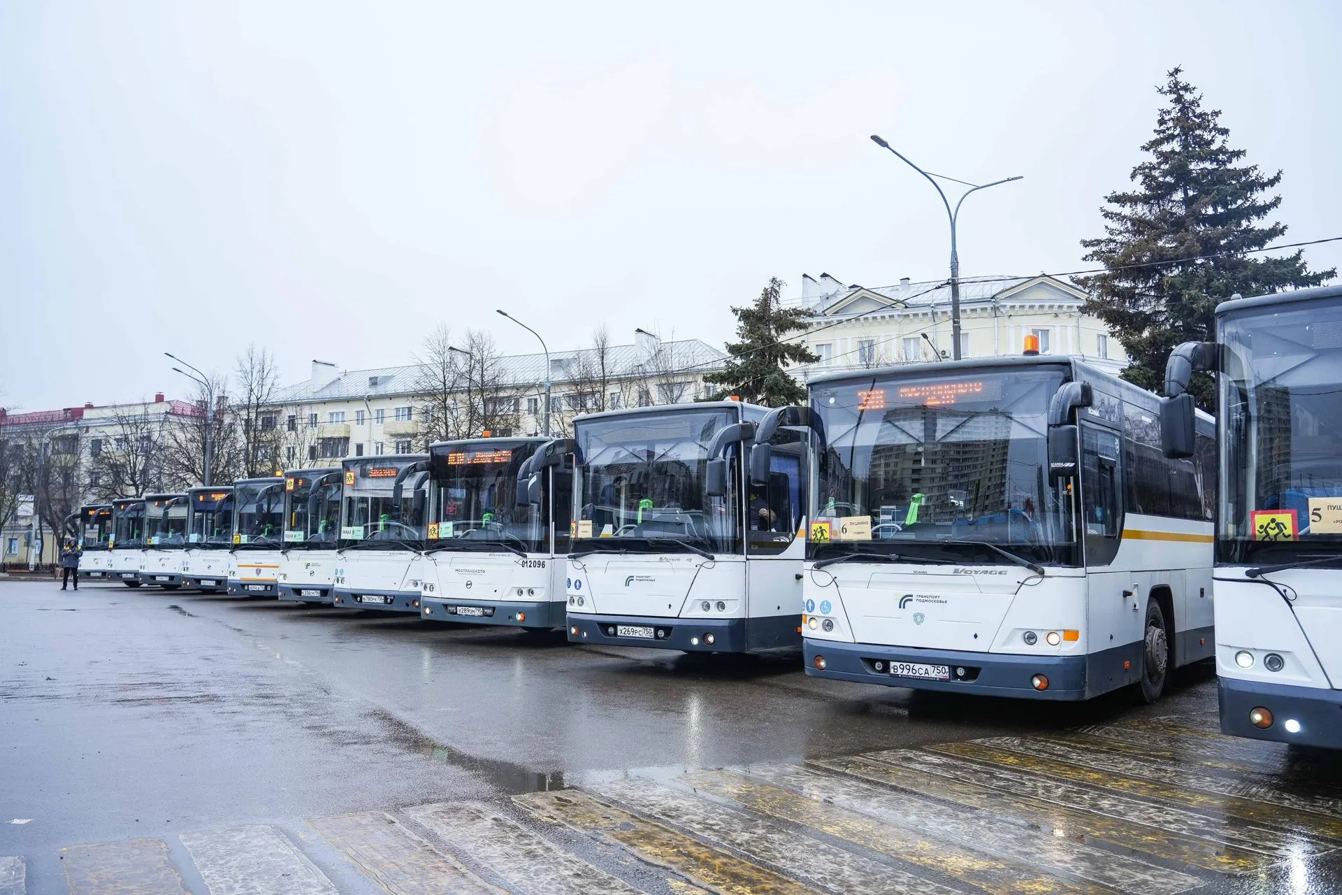 Александра Степанова