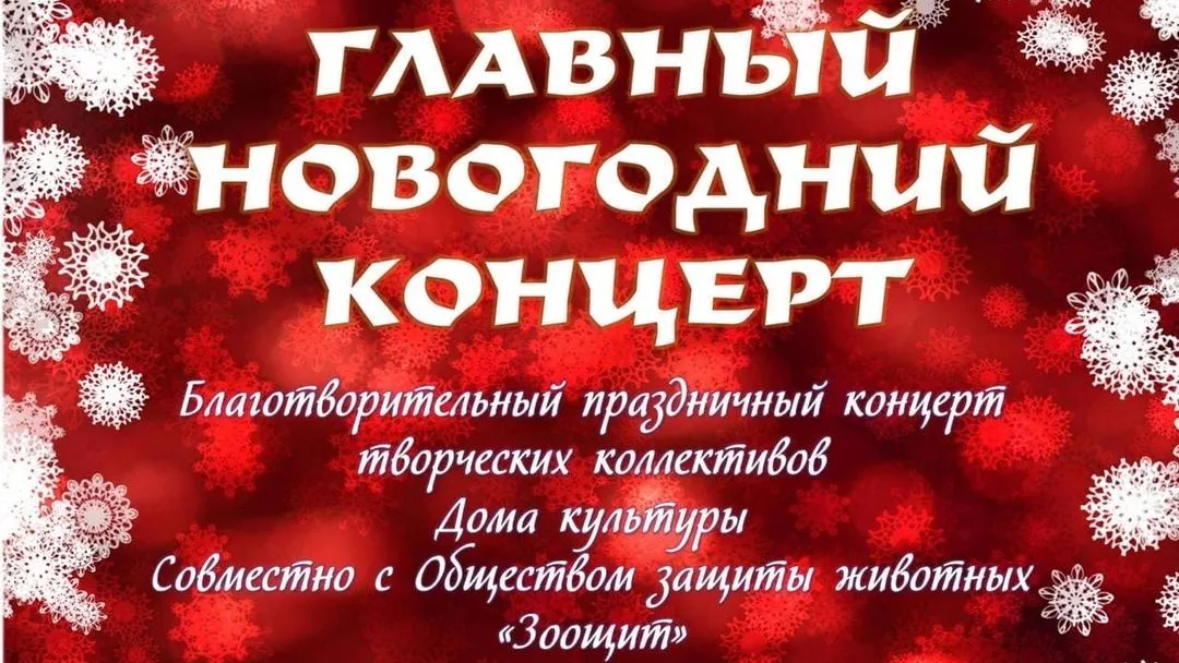 Благотворительный концерт в помощь животным пройдет в Подольске 29 декабря