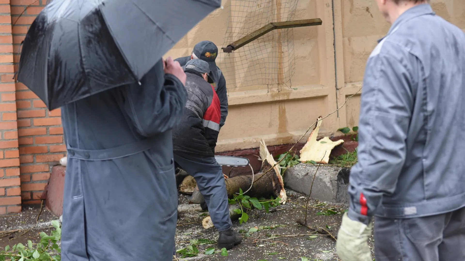 В парке Люберец убирают поваленные ураганом деревья