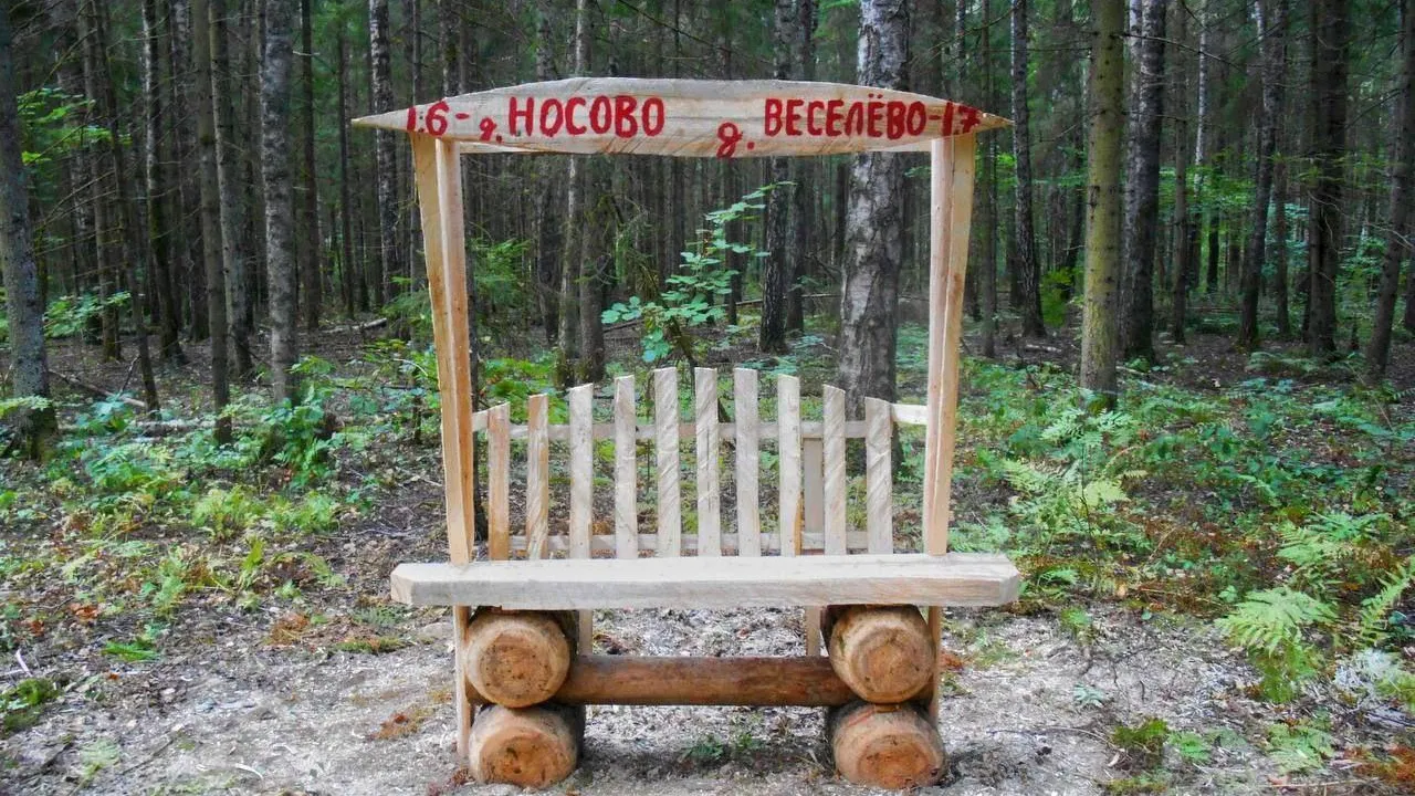 Новые лавочки‑навигаторы установили в Наро‑Фоминском лесничестве
