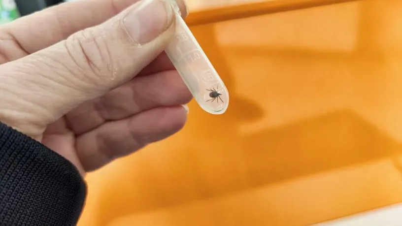 Кривошеина Елена Леонидовна / Фотобанк Лори