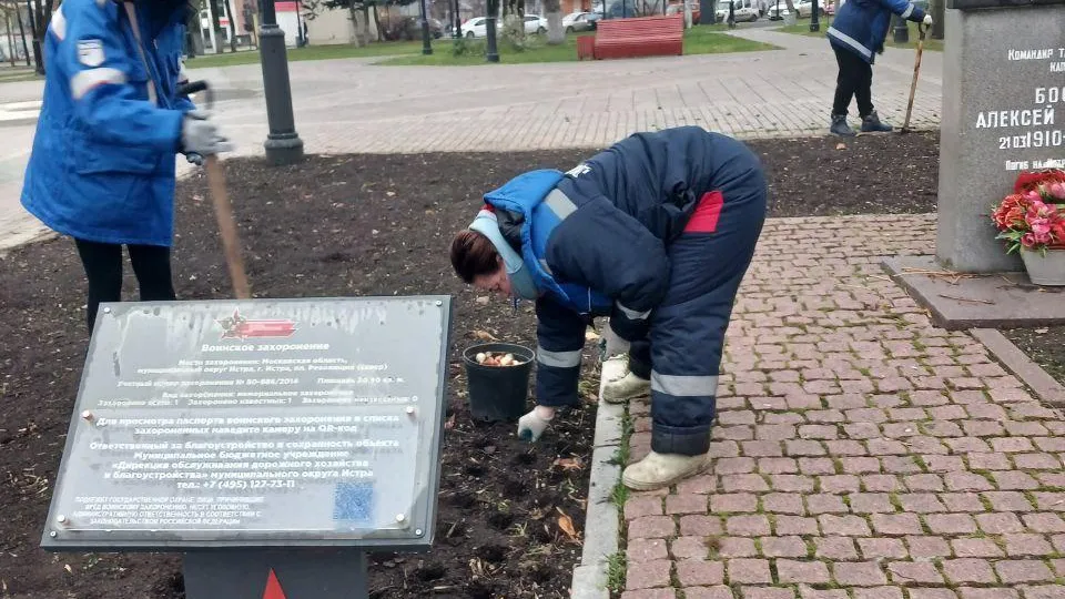 30 тысяч тюльпанов высадили в Истре к следующей весне
