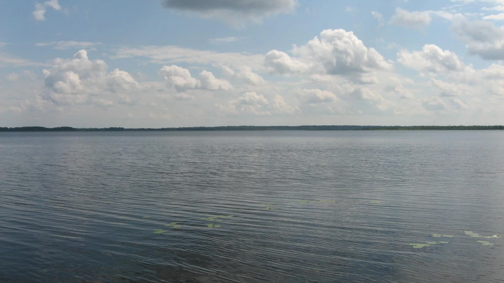 Kastey