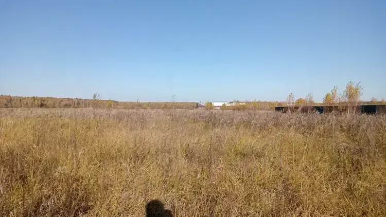 Самый бюджетный участок на торгах реализовали в Егорьевске на прошлой неделе
