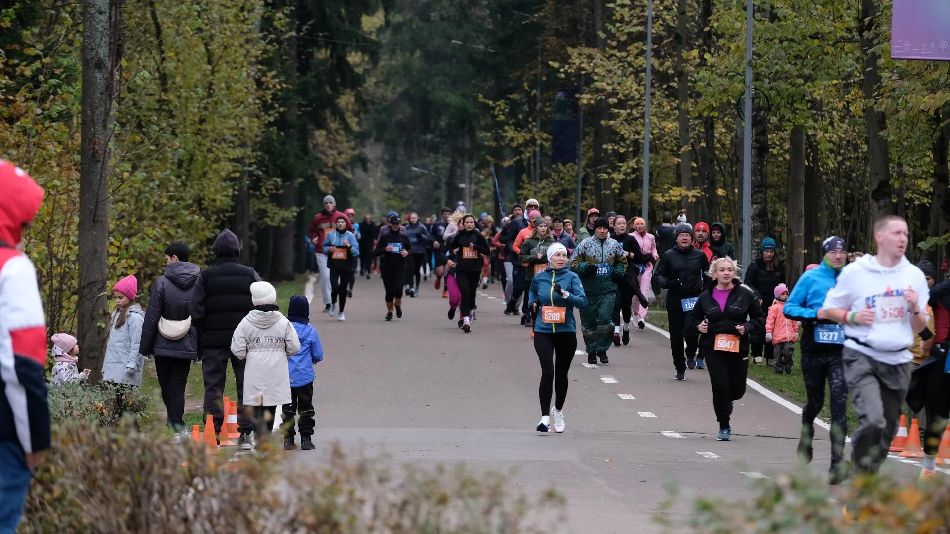 1500 участников вышли на старт кросс-полумарафона «ОдинцовоRUN» в Подмосковье