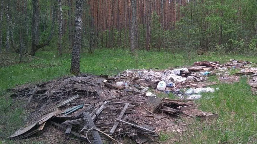 Почти 380 несанкционированных свалок убрали в Подмосковье с начала года