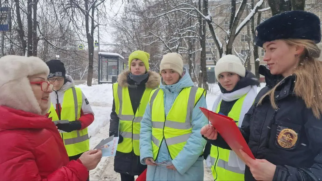 Профилактическая акция вблизи нерегулируемых пешеходных переходов прошла в Лобне