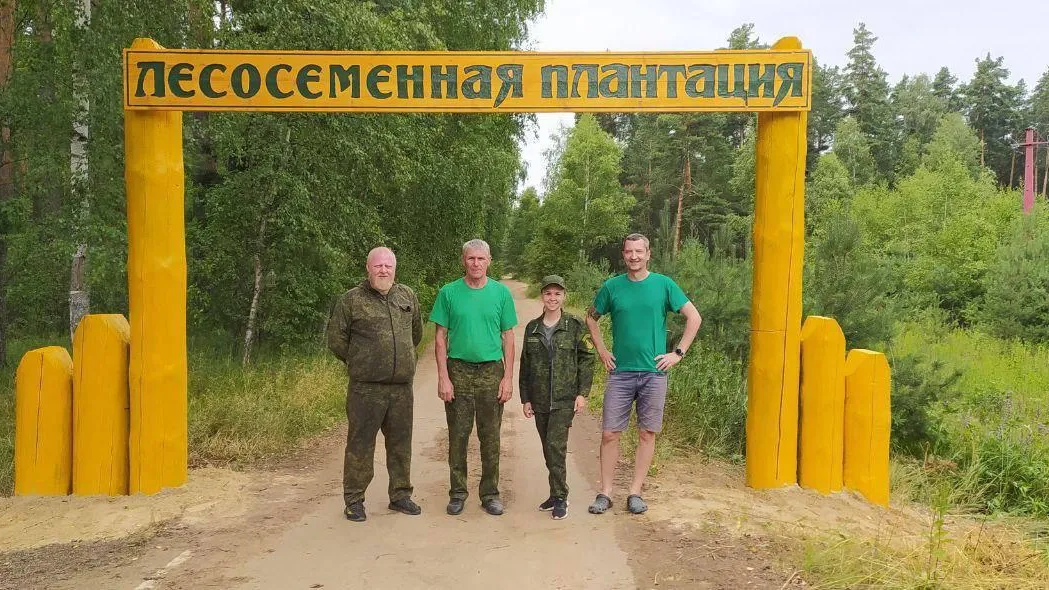 В Куровском лесничестве Подмосковья обновлен вход на плантацию сосны
