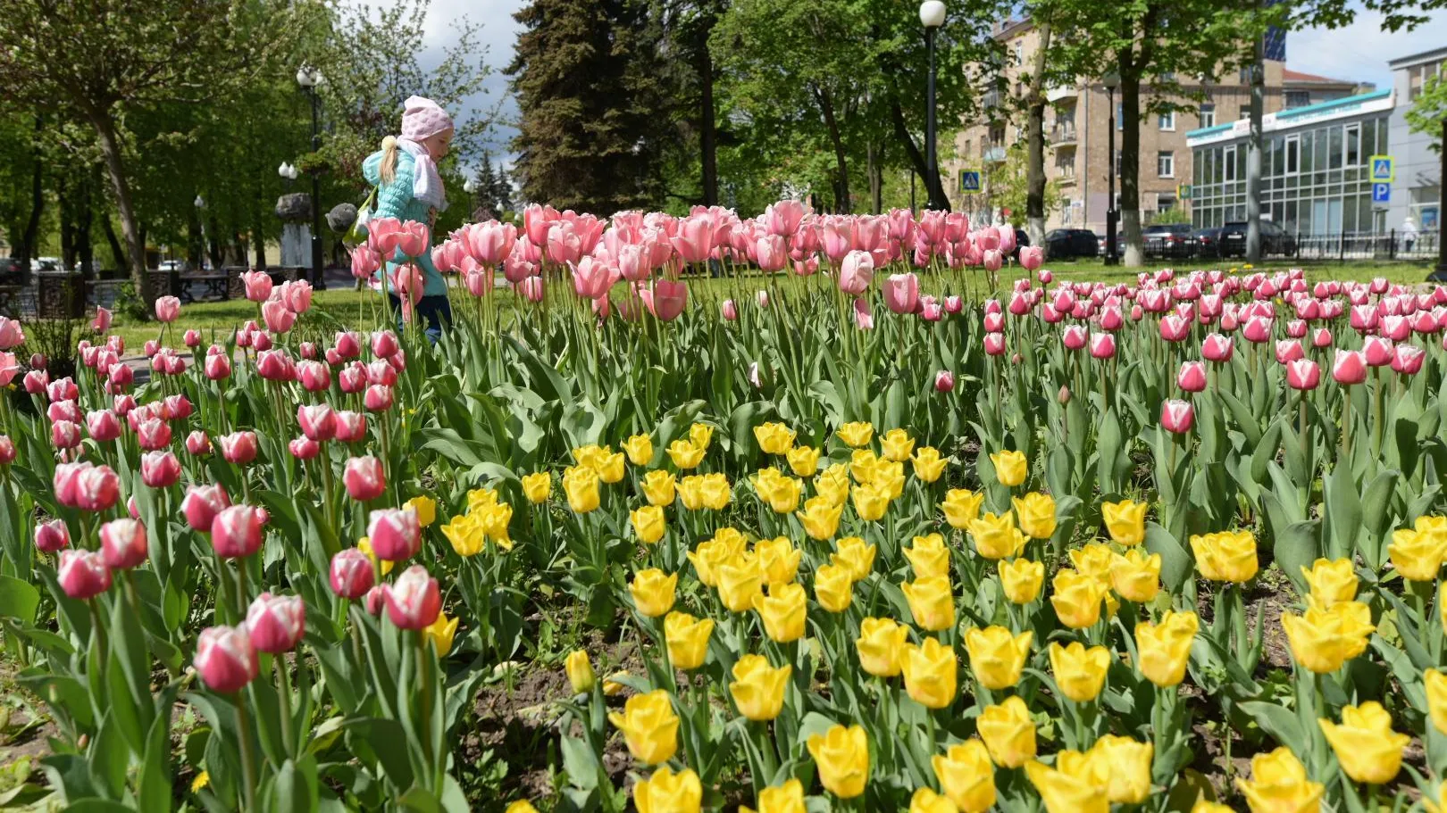 В Подмосковье готовят клумбы и цветники к летнему сезону
