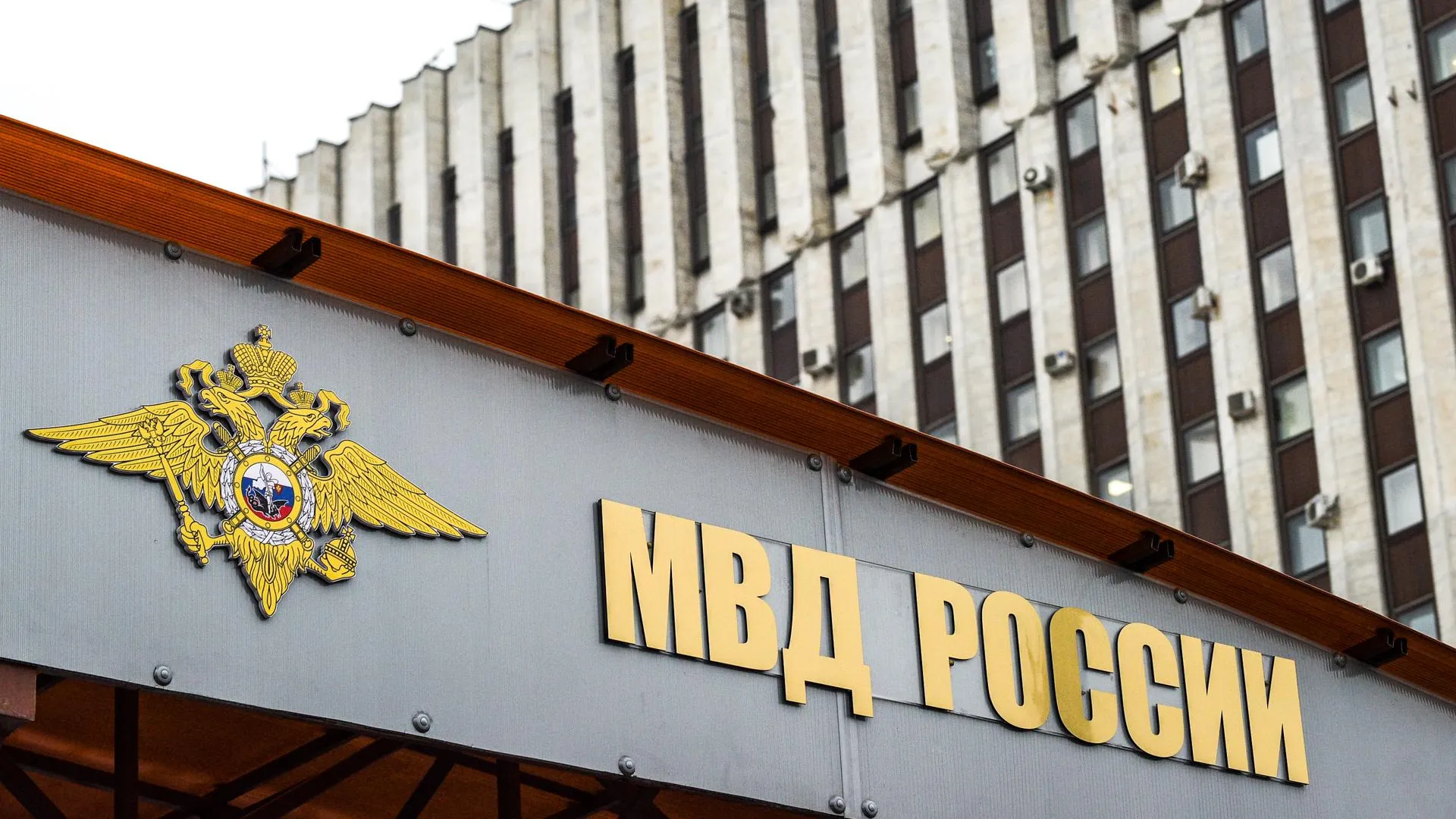 МВД проводит служебную проверку в отношении начальника отдела по Егорьевску