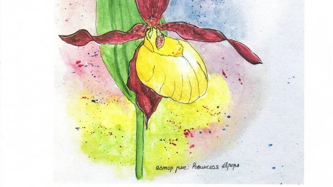 Завершился четвертый этап конкурса «12 чудес Приокского леса» в Серпухове