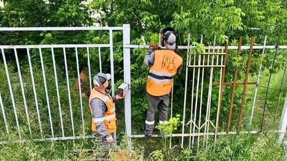 В Подмосковье устранили более 190 «опасных» троп вдоль ж/д путей