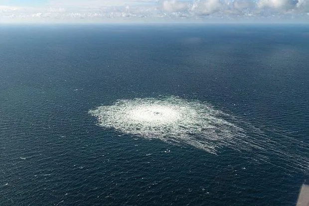Danish Defence