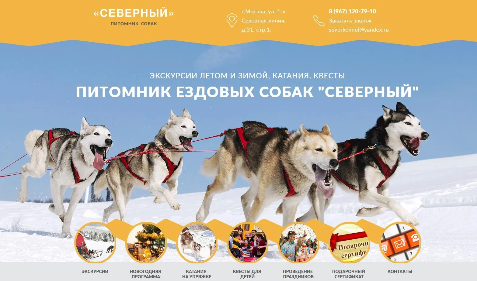 Страница «Питомник хаски "Северный" Москва» во «ВКонтакте»