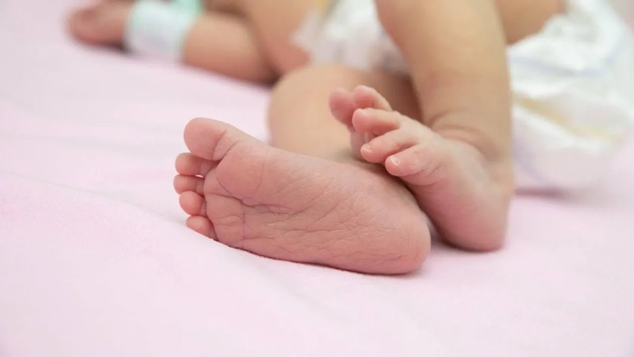 В Подмосковье с начала года провели более 500 процедур ЭКО