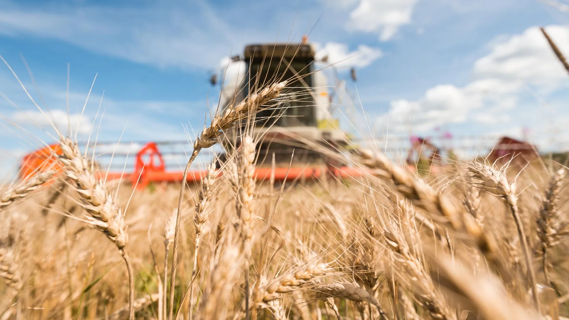 Ленобласть продолжает увеличивать экспорт собственной продукции