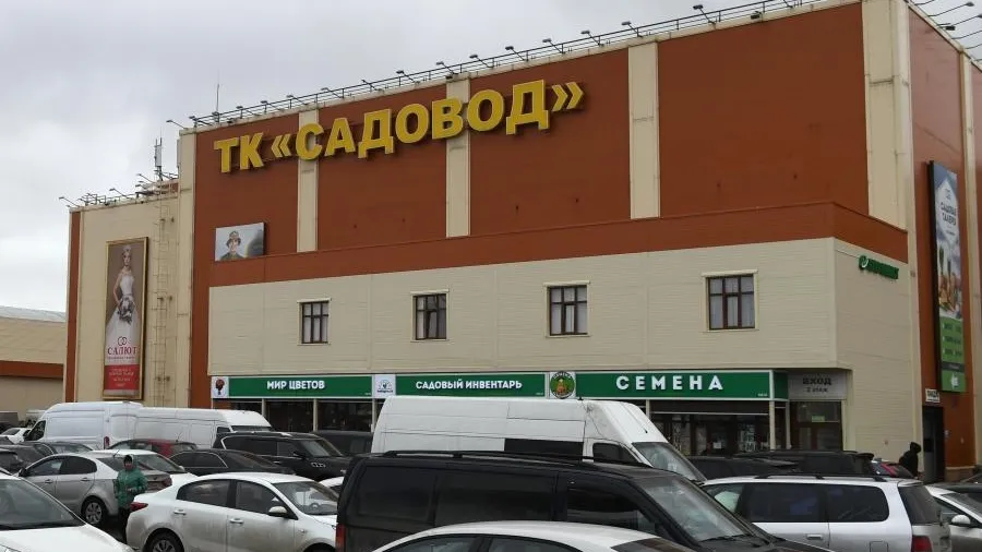 Царство черного нала: полковник КГБ объяснил, почему РФ не трогает «Садовод»
