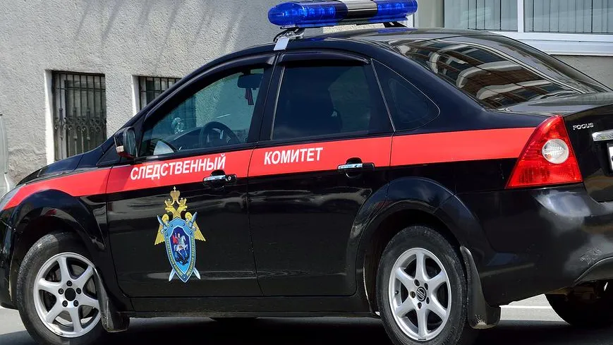 СК проверил семью из Башкирии после слухов о «девочке-маугли»