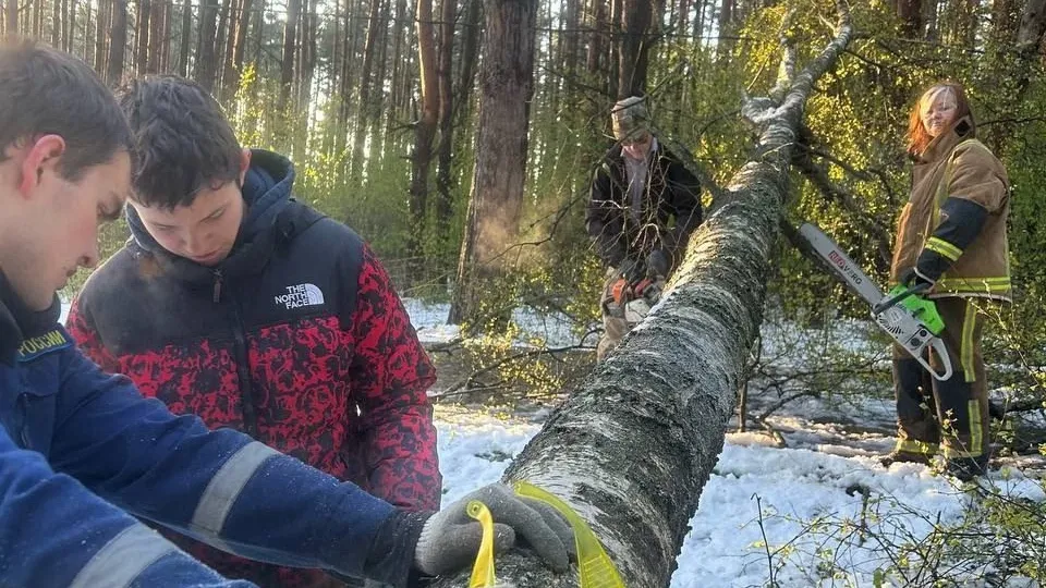 Студенты техникума Дмитрова помогли устранить последствия непогоды в Подмосковье