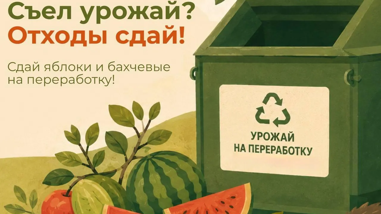 В Подмосковье до 28 сентября будут собирать яблоки и бахчевые на компост