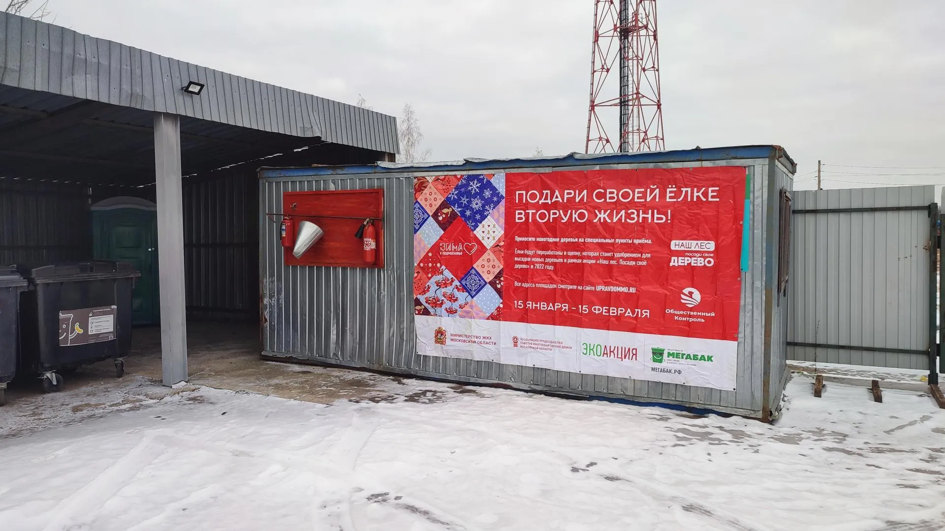 В Кашире определили 3 площадки для сбора новогодних елок