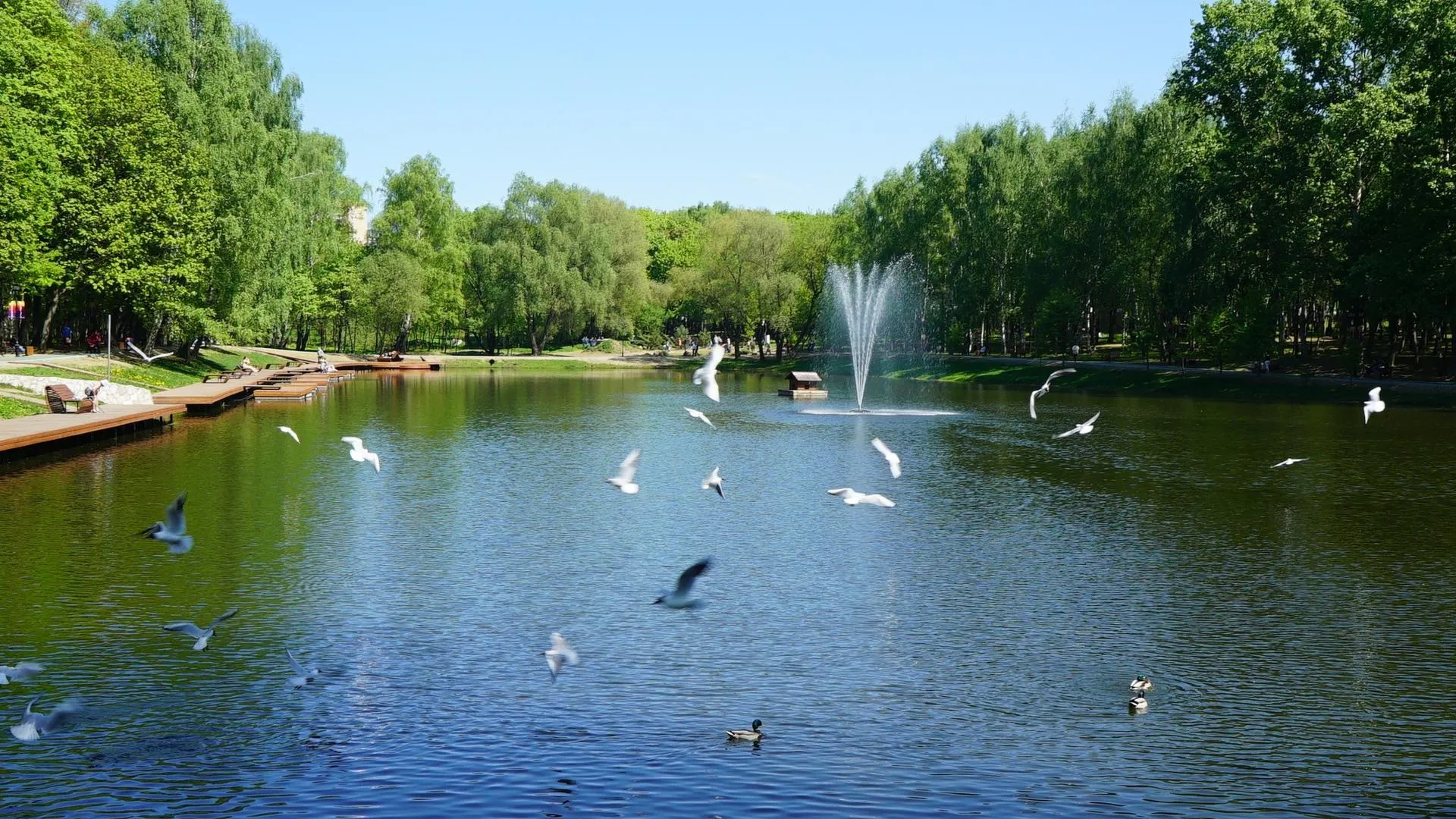 Парки Красногорска закрыли для посетителей из‑за обработки от клещей