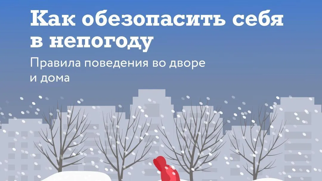 В Подмосковье объяснили, как обезопасить себя в снегопад, метель и сильный ветер