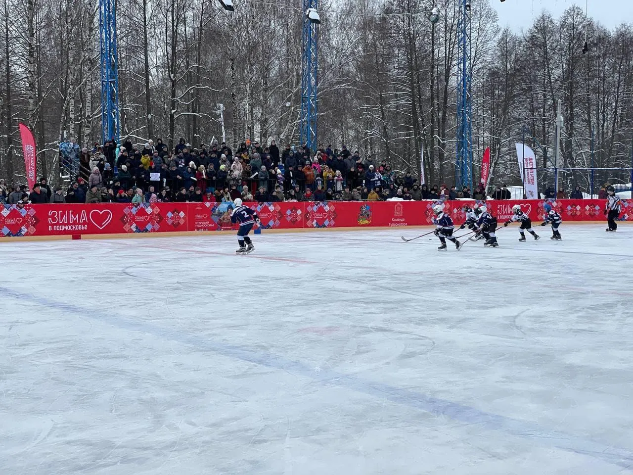 Дарья Сосульникова