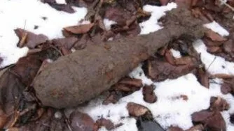 Три боеприпаса времен ВОВ обнаружили в Подмосковье