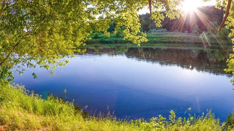 В Одинцовском округе проверят доступ к Самаринскому пруду