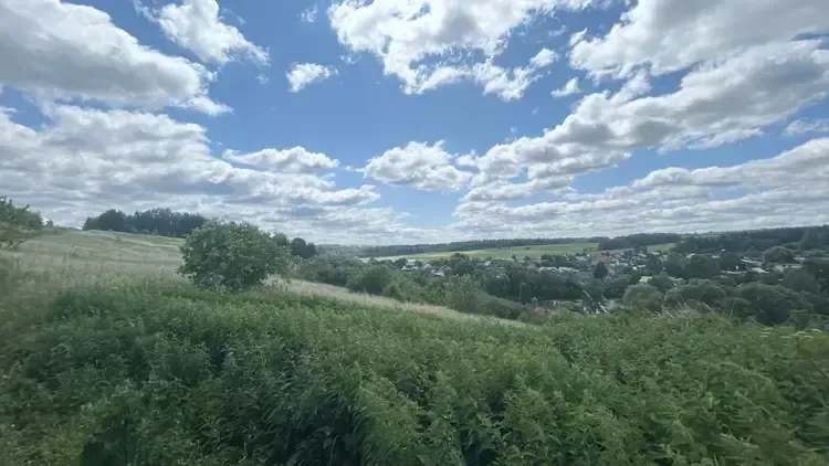 Земельный участок ЛПХ в собственность на торгах в г.о. Ступино