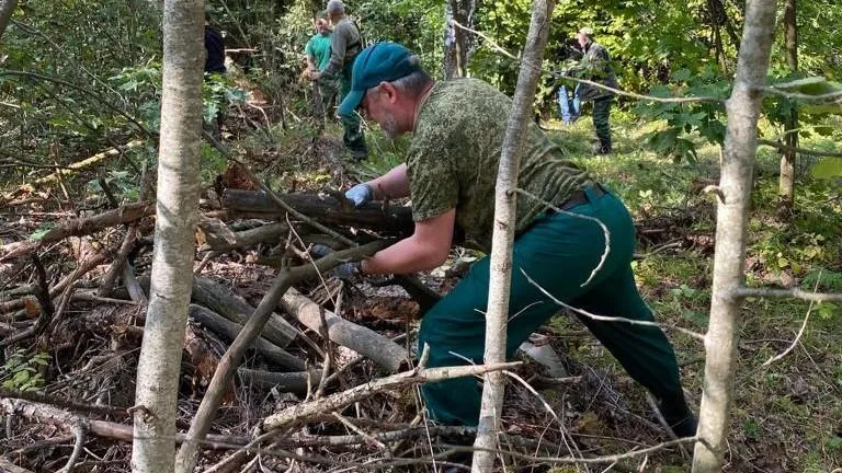 В подмосковном лесничестве провели субботник в рамках акции «Чистый лес»